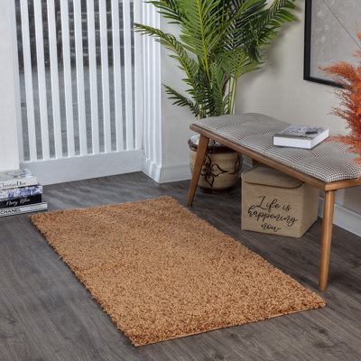 Shag Area Rug