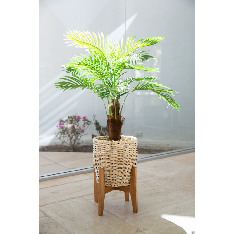 45 " H Faux Palm Tree in Ceramic Basket