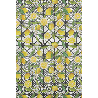 Premium Machine Washable Bradenburg AMF160 Yellow Rug