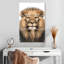 Noble lion Brampt-108611773
