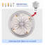 Flush Mount Ceiling Fan with Light Caged Farmhouse 6-Speed Reversible DC Motor with Remote Matte White-130156545