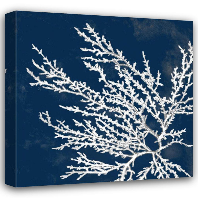 Reproduction d'art sur toile Beachcrest Home ™ Loreth, Lanie, Coastal Coral I, H 20 po x l 20 po