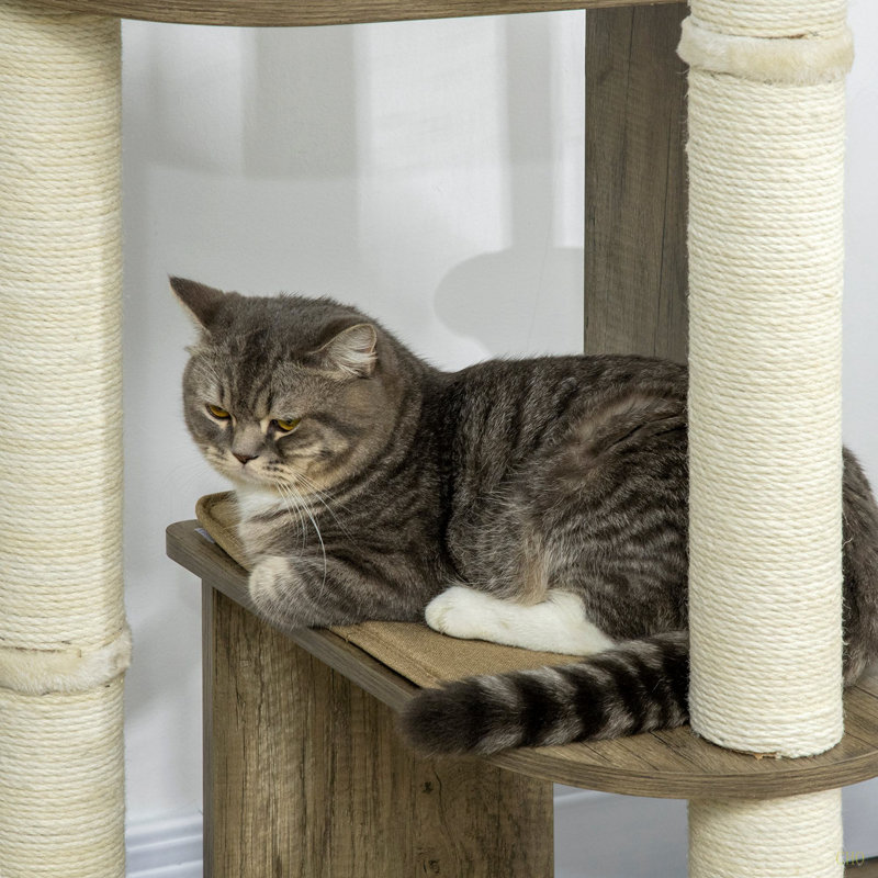 Arbre à chat d'angle moderne de 65 po de hauteur pour grimper Pawhut, Blanc, crème