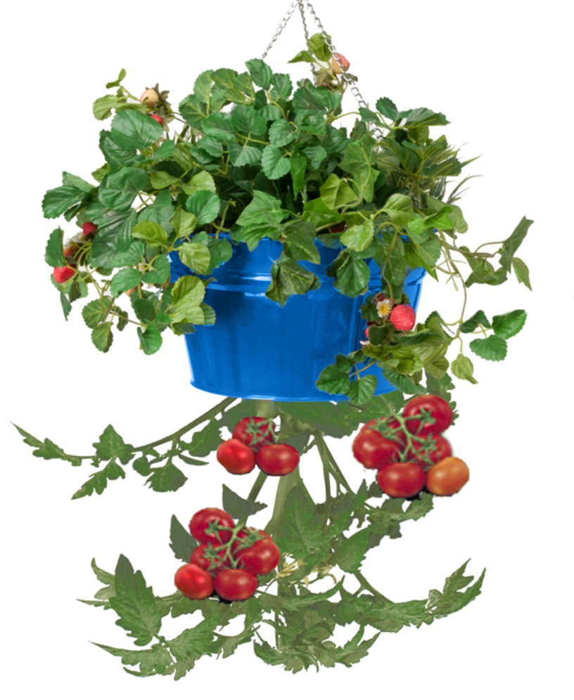 Kilding Metal Hanging Planter Winston Porter 