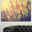 « rétro photo of wild purple fleur », impression sur toile tendue-25566564