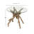 Brown Ivanelle Wood Handmade Tree Branch Side End Accent Table with Clear Glass Top