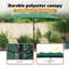 Market Parasol-589251469