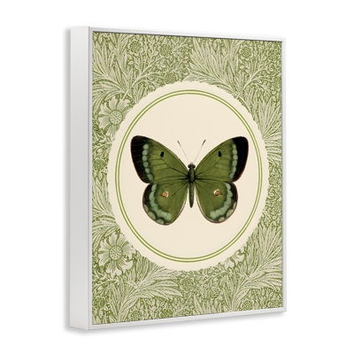 Green Butterfly Botanical Medallion Framed Giclee, design by LSR Design Studio