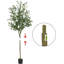 180cm Plant