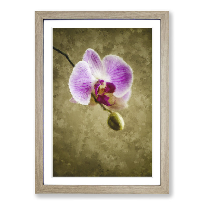 Orchid Flowers Vol.6 - Framed Print, 36cm H x 27cm W x 2cm D, Oak Framed