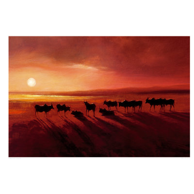 Zebu At Dusk by Jonathan Sanders - Print