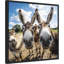 «Funny Animal Donkey Selfie» par The Creative Bunch Studio, reproduction d'art sur toile encadrée-1074205500