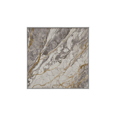 Machine Washable Gray Area Rug