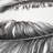 Cobus Animal Print Roll