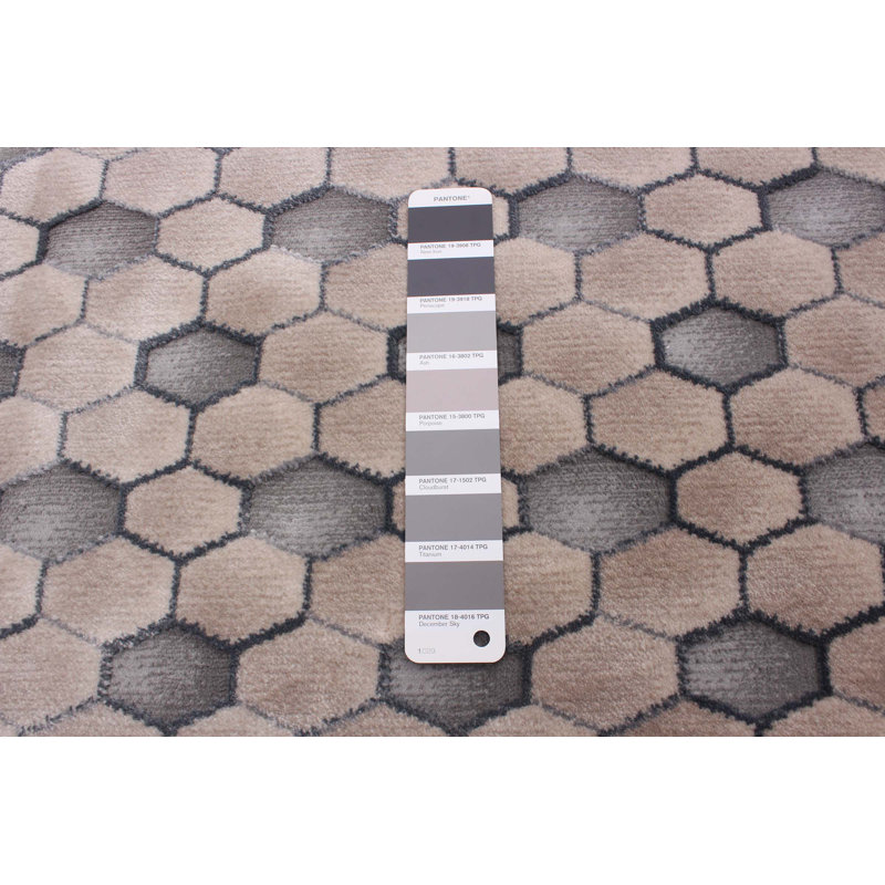 Tapis taupe / gris Badarish, Rectangle 3 pi 11 po x 5 pi 11 po