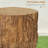 Tree Stump Stool Decorative Side Table With Round Tabletop End Table Outdoor Coffee Table