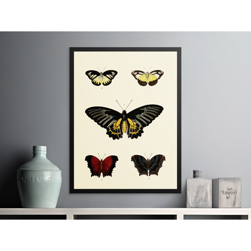 Print, 16x24