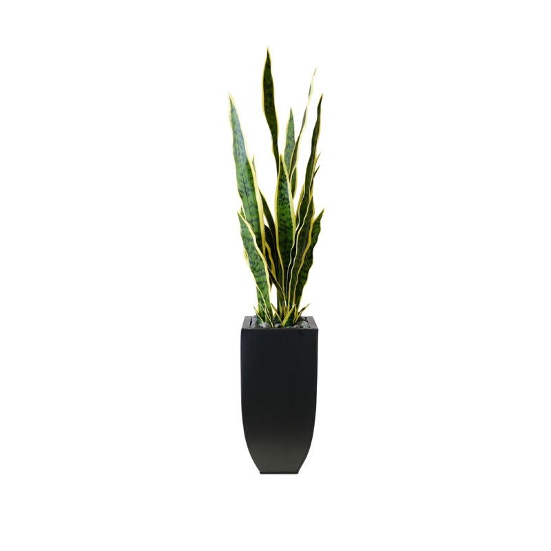 Faux Snake Plant (Sansevieria) Plant in Planter