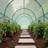 Walk In Greenhouse 