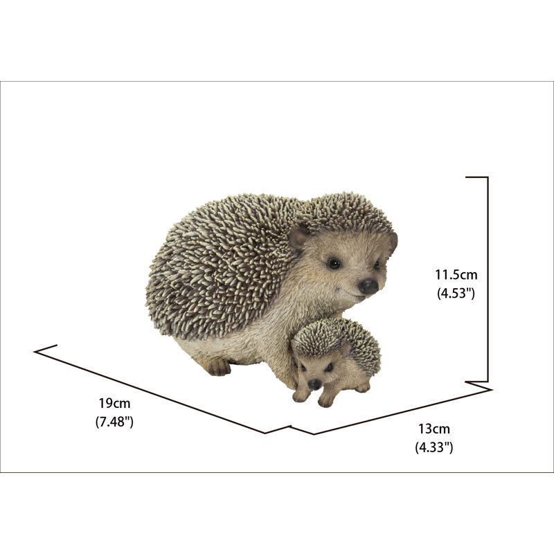 Mother & Baby Hedgehogs