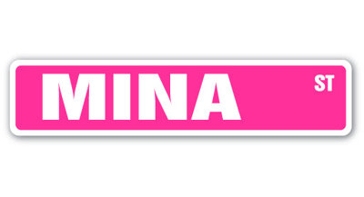 Mina Street Sign Heavy Duty Plastic 4" X 18"