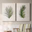 Palm Botanical I - Ensemble de 2 reproductions d'art-100410946-100234435-100234438