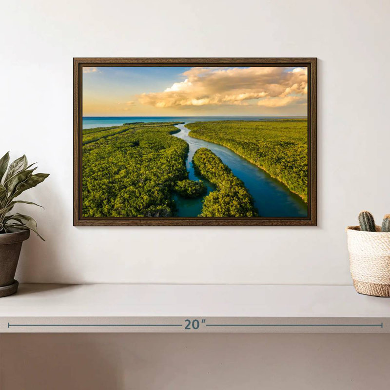 Parc national des Everglades, 13 po x 9 po, Cadre flottant en noyer
