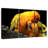 Perched Parrot Pair-2141346541