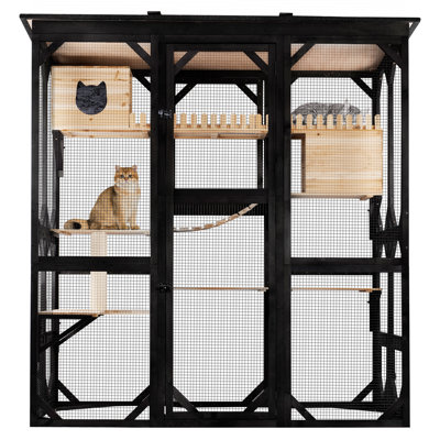 Catio