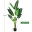 Plant-706849846