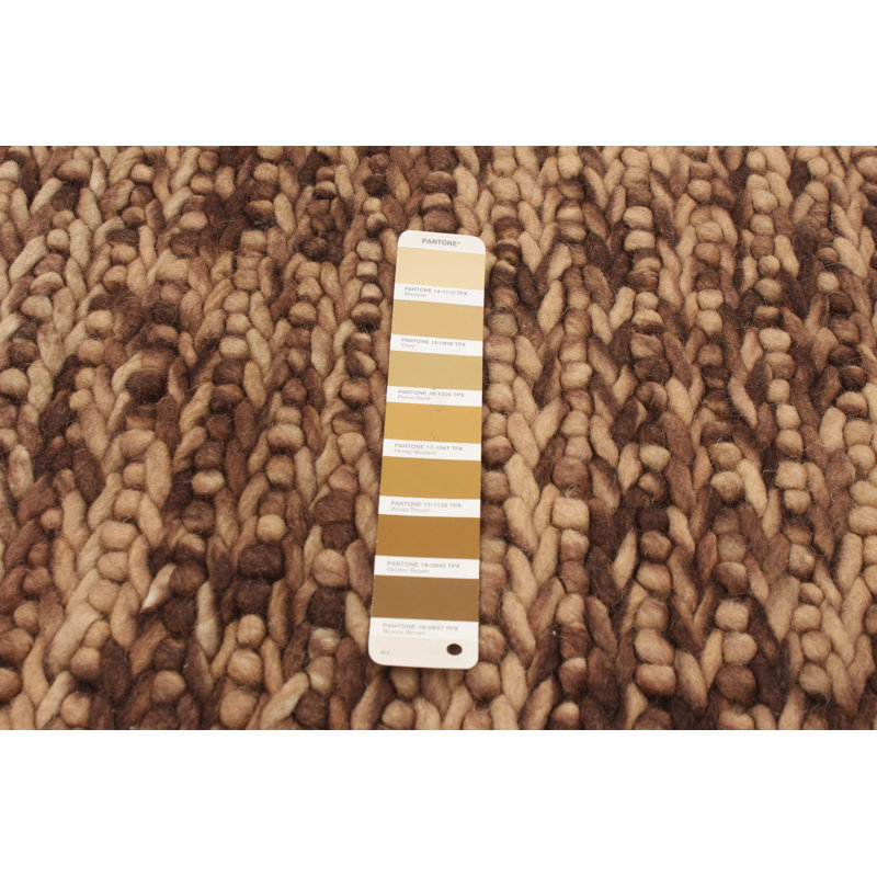 Tapis brun en laine tressé à la main Burruss, Rectangle 4 pi 11 po x 7 pi 1 po
