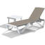 Outdoor Patio Chaise Lounge-319293667