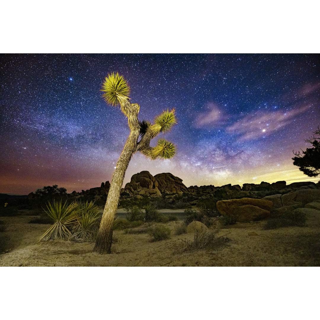 Joshua Tree National Park Wüste von Boogich - Druck