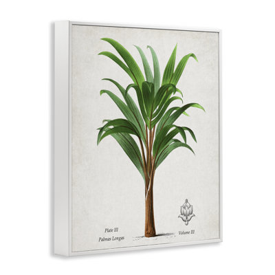 Palmas Longas Palm Tree Framed Giclee, design by Val Rhodes
