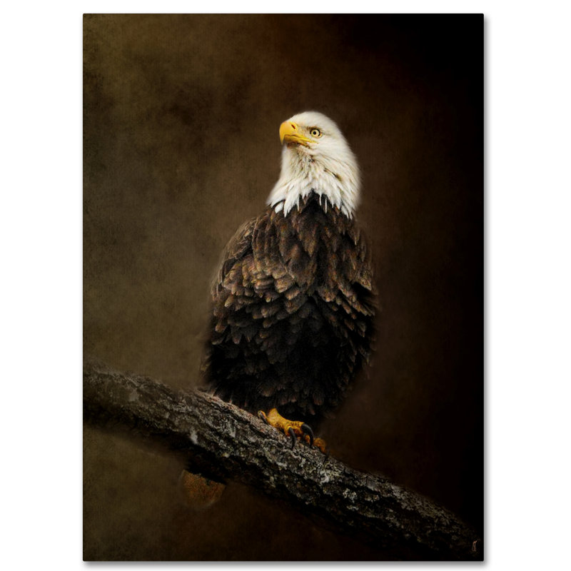 «Portrait of An Eagle» par Vidur, impression sur toile tendue, H 19 po x l 14 po