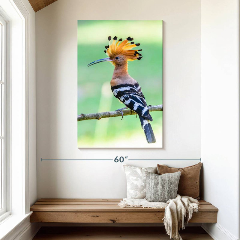 Brampt Common Hoopoe, 48" H x 32" W