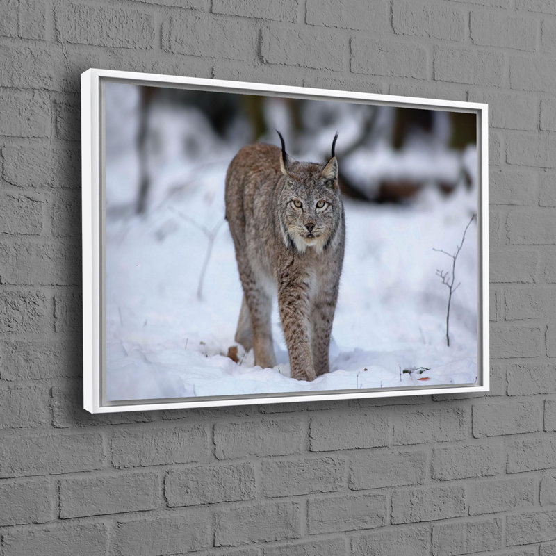 Affiche de chat loup en toile de coton personnalisable pour une décoration murale unique sur le thème des animaux adaptée aux chambres de bébé