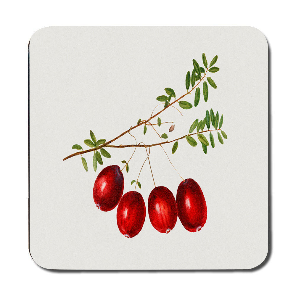 Berry Botanical Placemat And Coaster Set With Red Berries Design