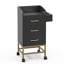 Chariot de rangement Beauty Adaysia-284242735