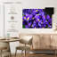 Iris Harnek Violet-107509054