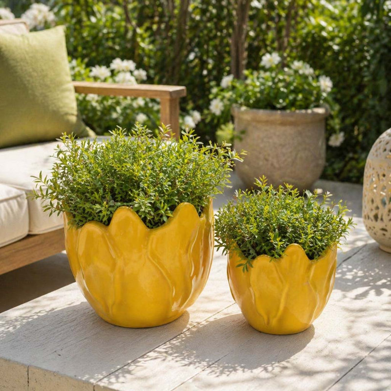 Jardinières décoratives rondes en forme de fleur pour la terrasse du jardin - Pots de fleurs élégants pour le salon et la maison - Ensemble de 2