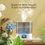 Humidificateur d'air à brume fraîche 4L