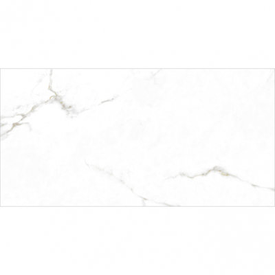 Augusta Collection 24" x 48" Porcelain Marble Look Wall & Floor Tile