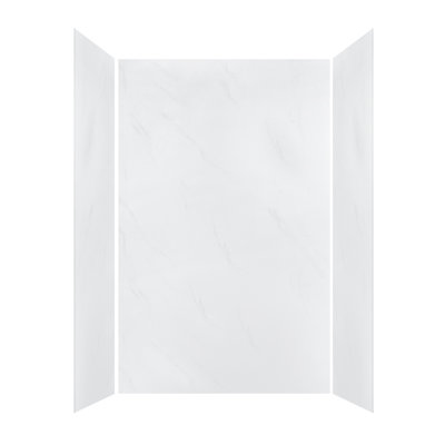Ensemble de panneaux de douche muraux de douche l 60 po x H 96 po x P 30 po, épaisseur de 3/16 po (5 mm).