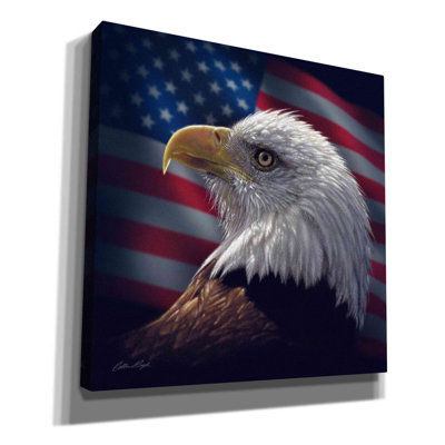 «American Bald Eagle» par Collin Bogle, art mural sur toile Millwood Pines