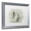 « two cancellara shells », reproduction de photo sur toile encadrée-32709778-32709783