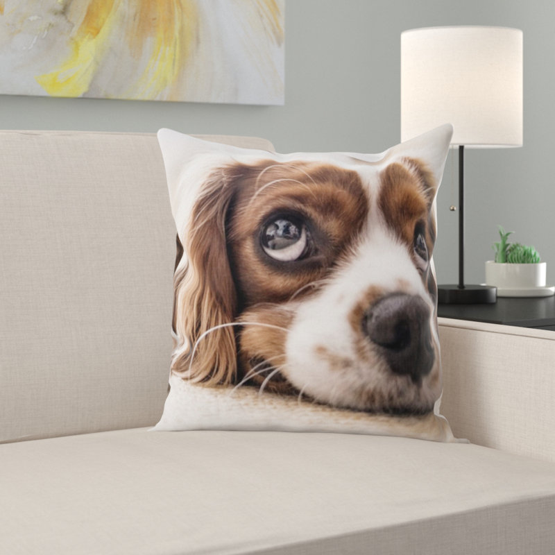 Coussin pour chien