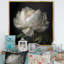 Blooming White Peony VI - Art mural pivoine-317025647-317025657-281852004