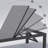 Sayeri Outdoor Chaise Lounge