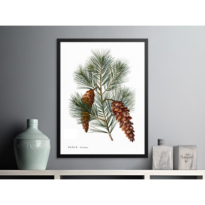 Donna No Frame Print